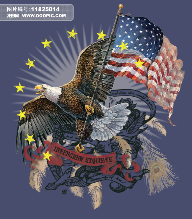 欧美t恤美国国旗鹰印花高清矢量图AI格式图片