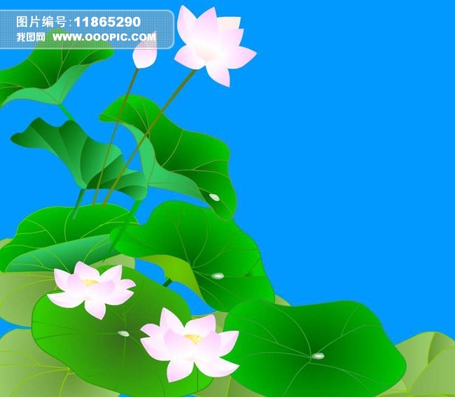 风吹荷叶摆动flash模板下载(图片编号:1186529