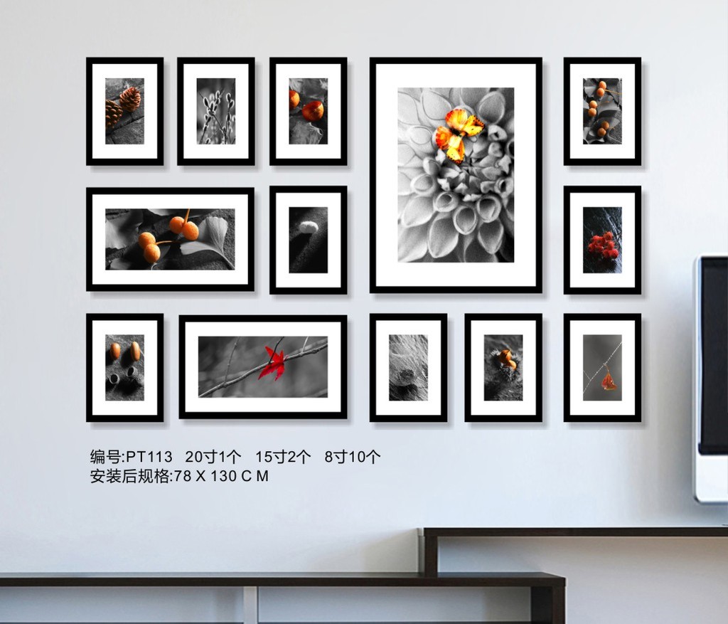 黑白花卉照片墙模板下载(图片编号:11954039