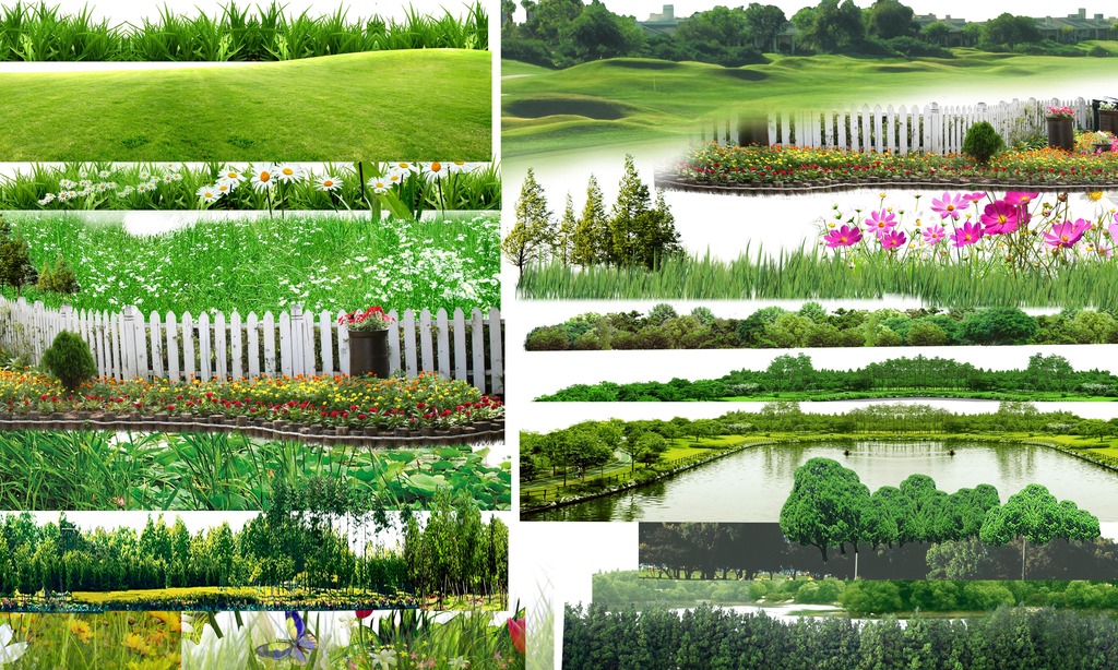 绿化植物素材园林景观模板下载(图片编号:11984469)_宣传单|彩页|dm