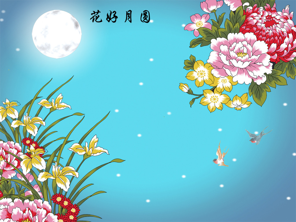 花好月圆牡丹电视背景墙