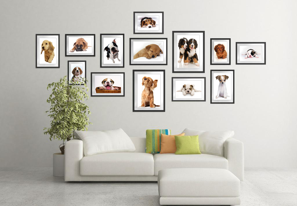 高清照片墙之小狗系列001模板下载(图片编号:12054771)_其他_照片墙_我图网weili.ooopic.com