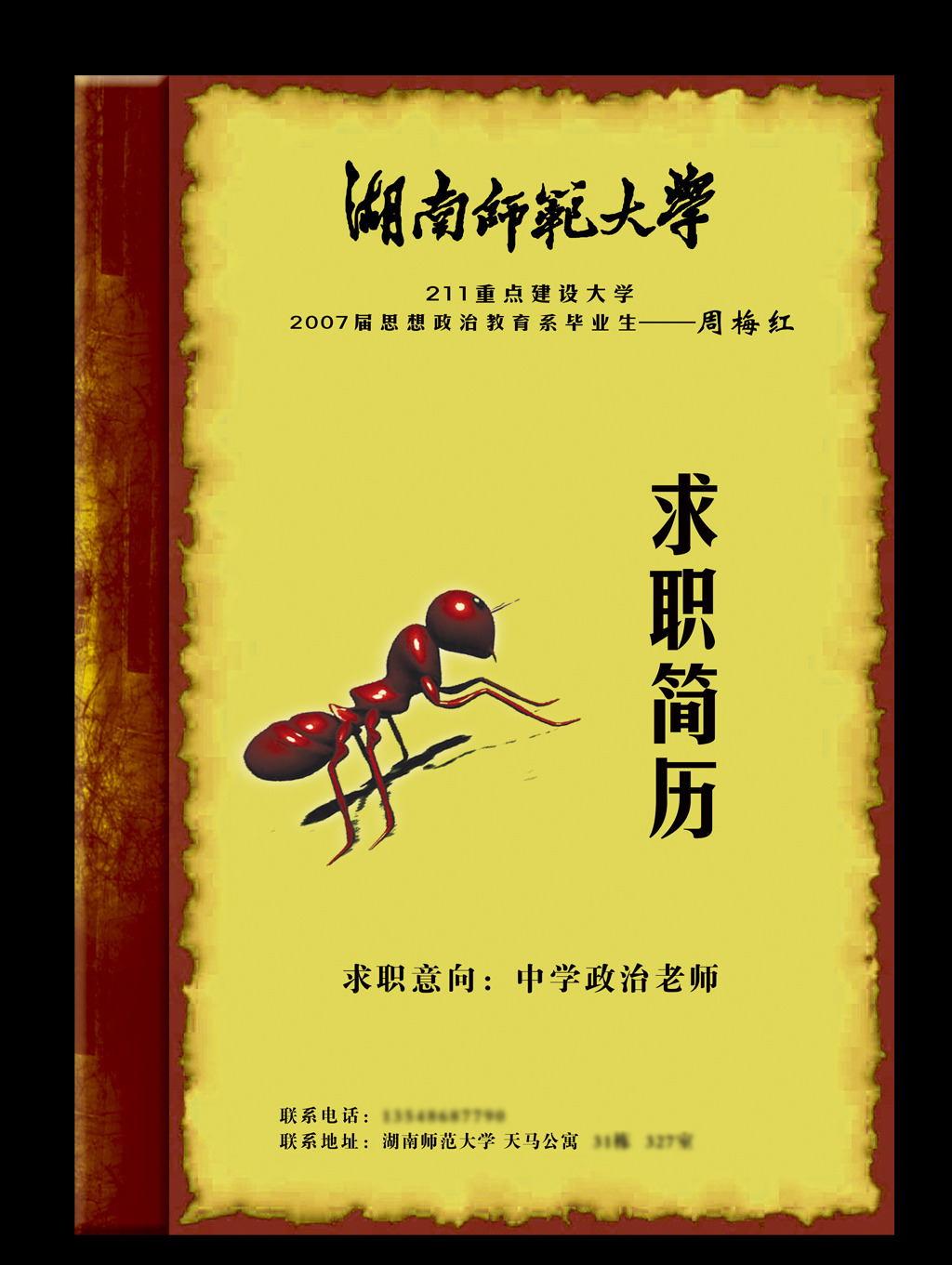 外企简历 应聘简历 大学生图片