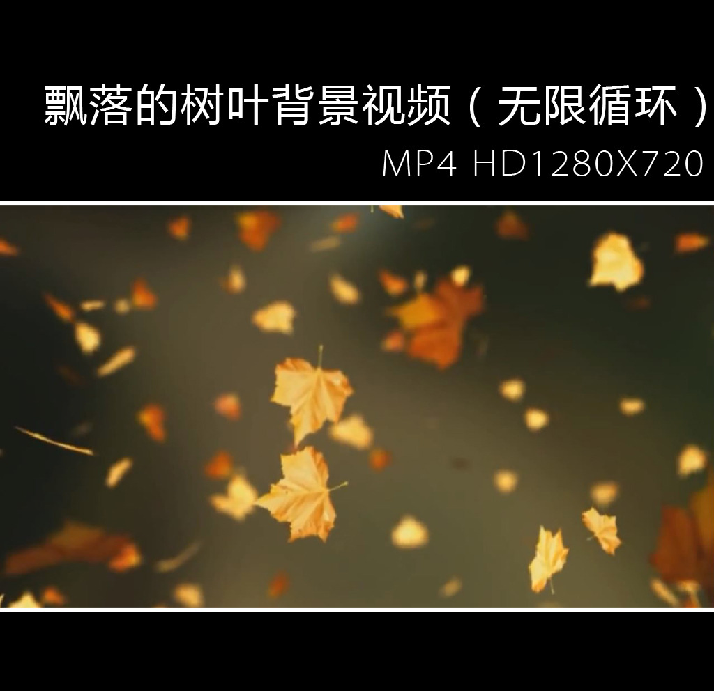 飘落的树叶背景视频(无限循环)图片