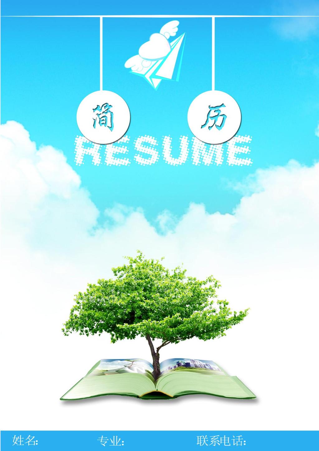 音乐教育专业应届毕业生个人简历word版模板