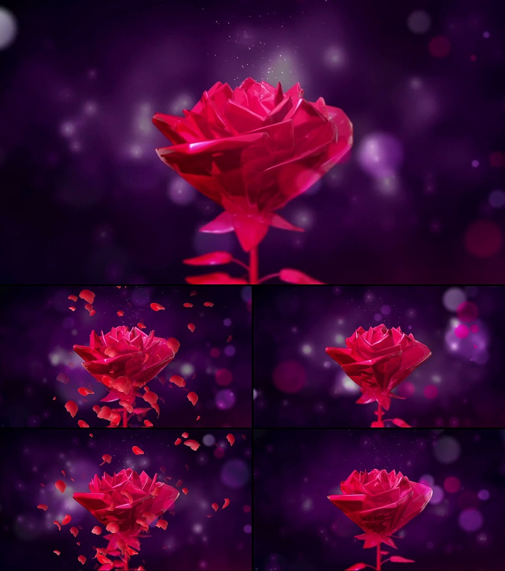 大气玫瑰花旋转星光视频素材模板下载(图片编