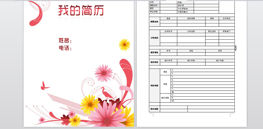 精美求职简历模版花纹图案模板下载(图片编号:)图片