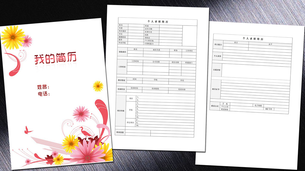 会计专业简历模板word下载图片