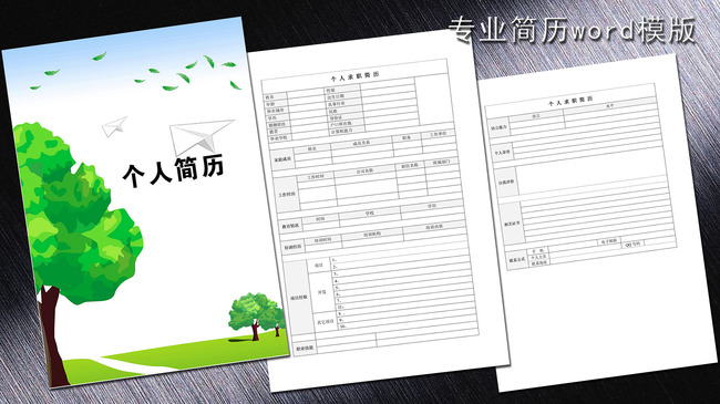 简历模版简历封面个人简历求职简历个性简历 会计专业简历 应聘简历图片