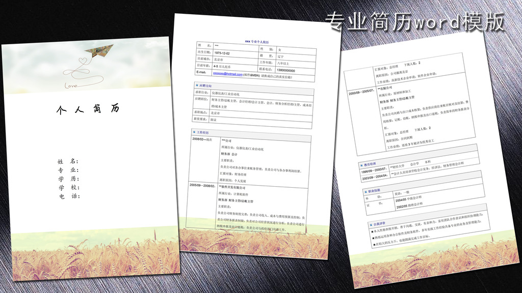 会计专业简历模板word下载图片下载 简历模版 简历封面 个人简历 求职图片