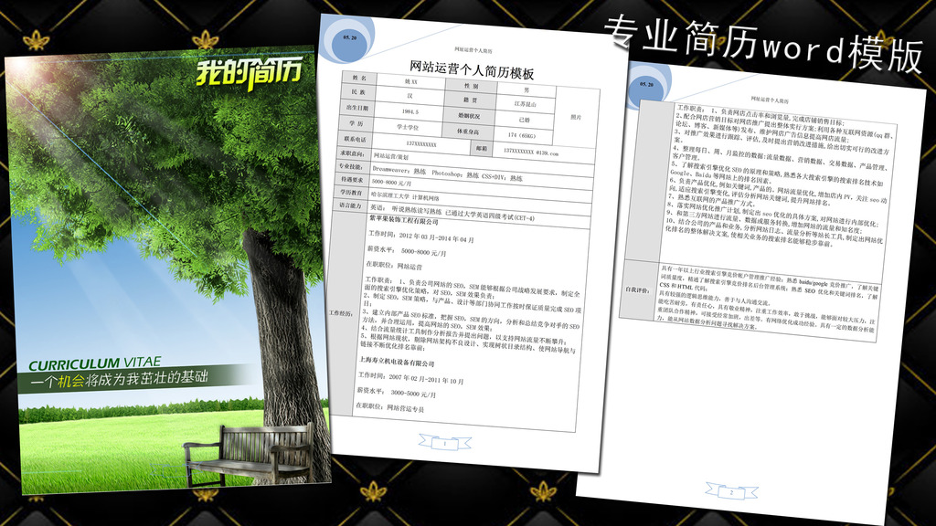 计算机专业简历 应聘简历 计算机it 互联网 通信 电子 网络运营图片