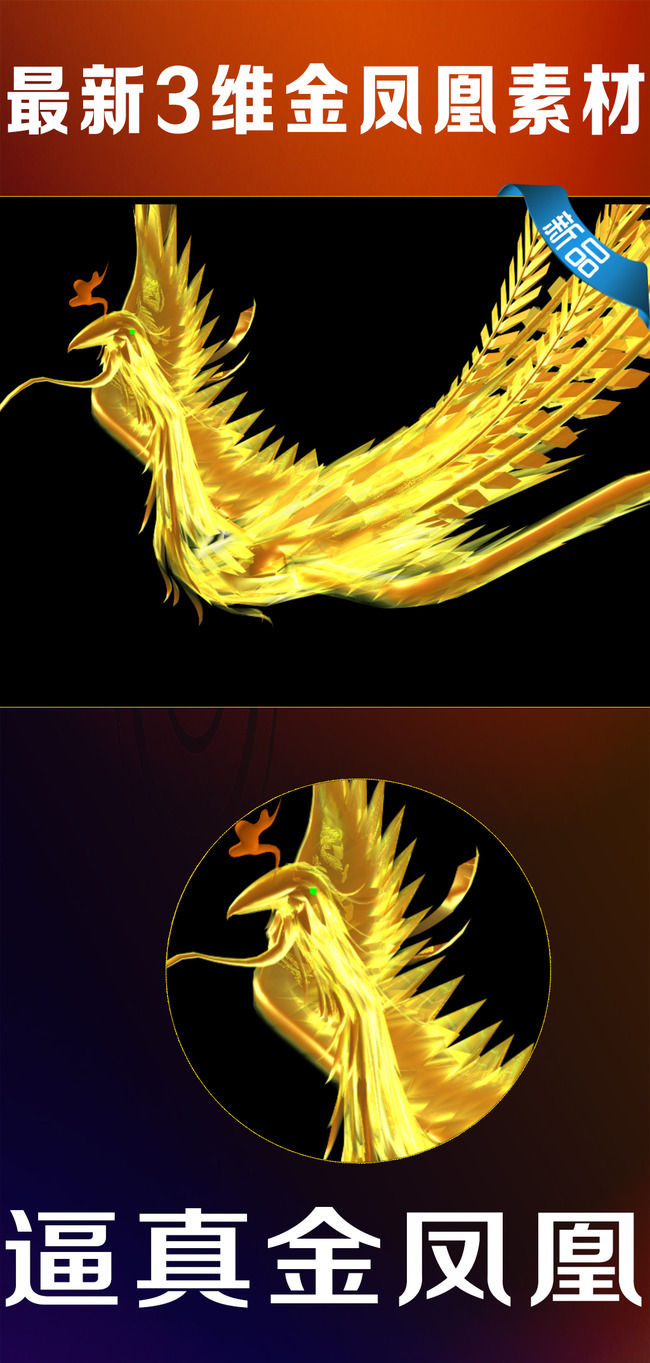 最新金凤凰3维高清逼真带通道素材模板下载(图片编号:12224242)_其他动态视频_动态视频素材_我图网weili.ooopic.com