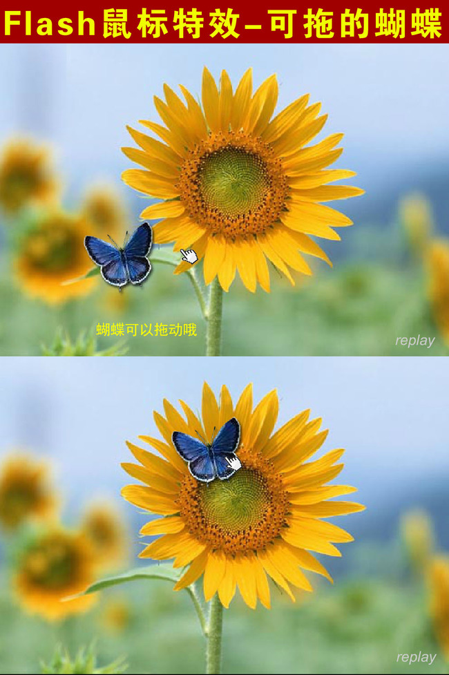 flash鼠标特效可拖的蝴蝶模板下载(图片编号:1