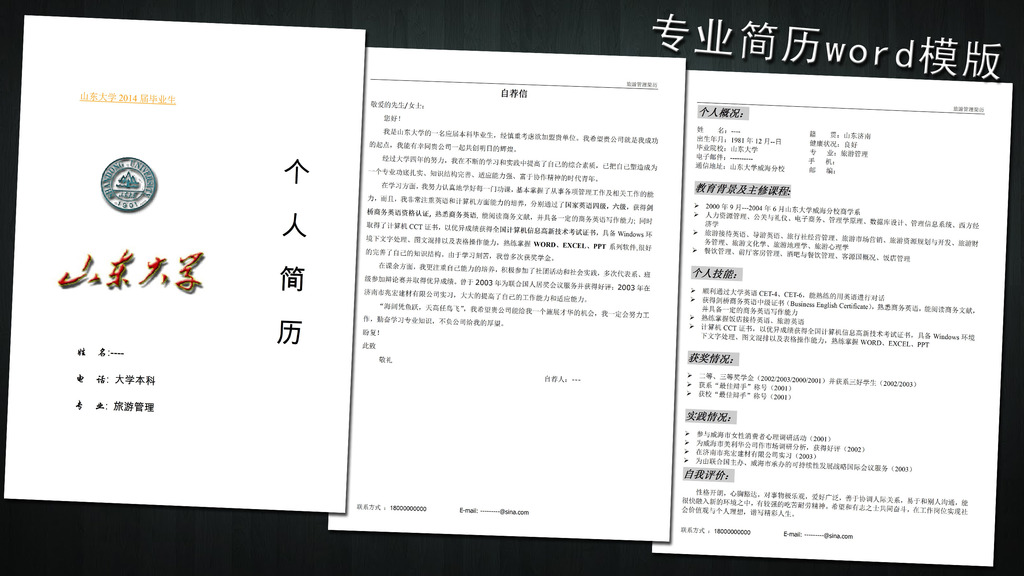 完整个人简历模板word下载图片