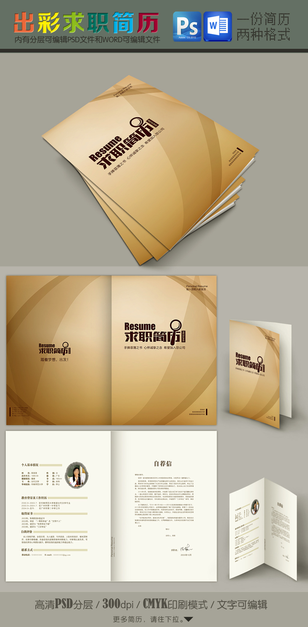 柔美线条简洁毕业生求职简历封面带word模板