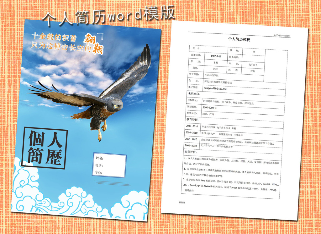 电子商务简历模板word下载图片