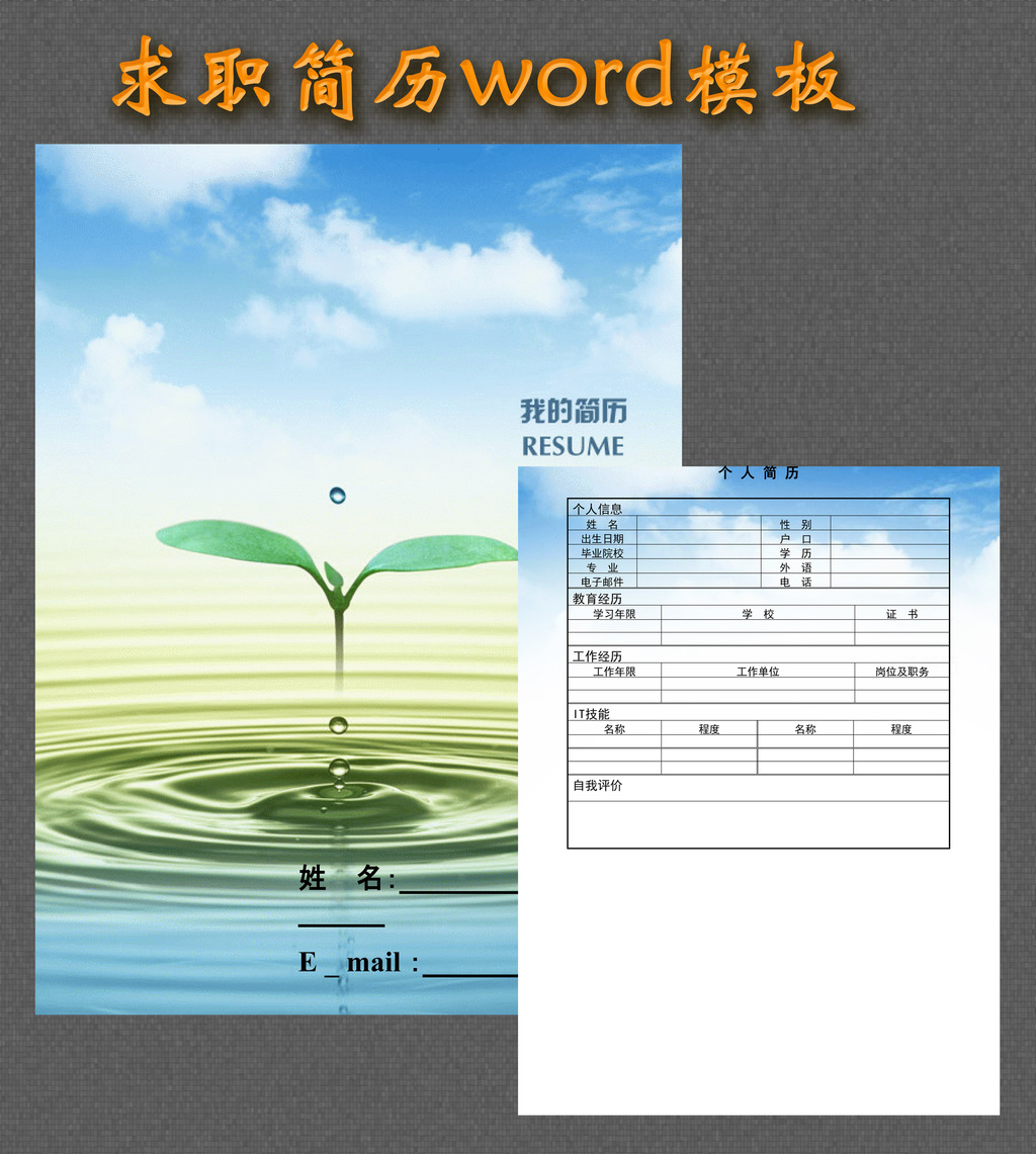 办公|ppt模板 word模板 求职简历|招聘 > 碧水蓝天背景简历模板 下一图片
