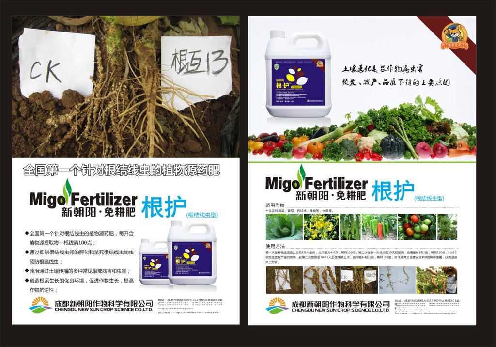农产品宣传单模板下载 农产品宣传单图片下载图片