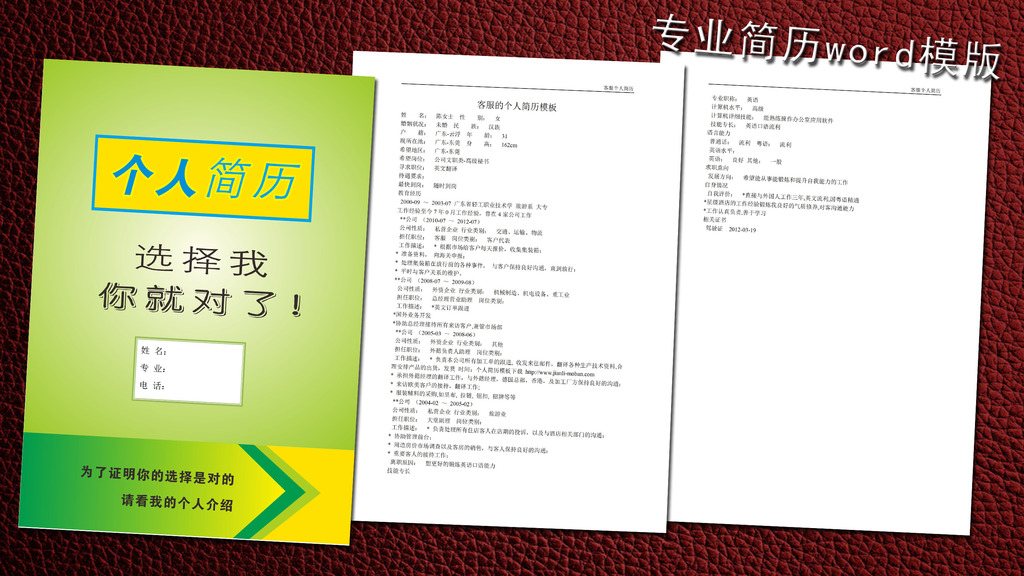 客服个人简历模板word下载图片