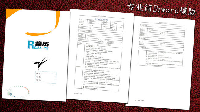 客服经理简历模板word下载图片下载 简历模版简历封面个人简历求职图片