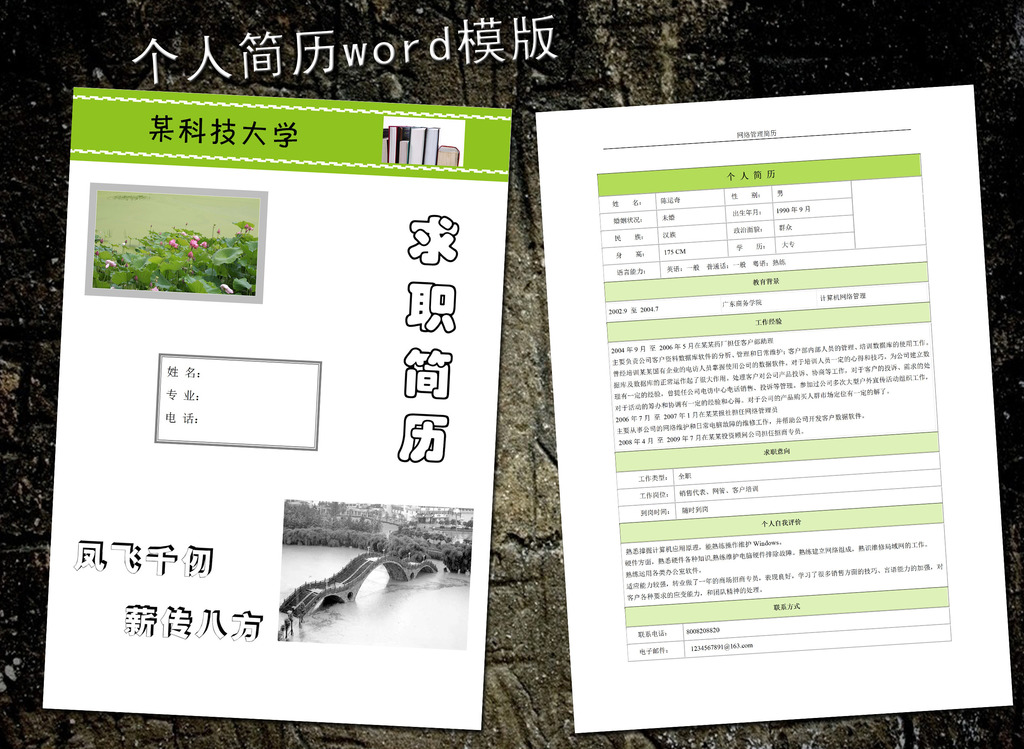 网络管理简历模板word下载图片