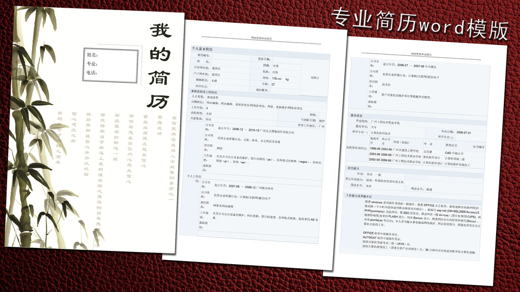 网络管理简历模板word下载图片
