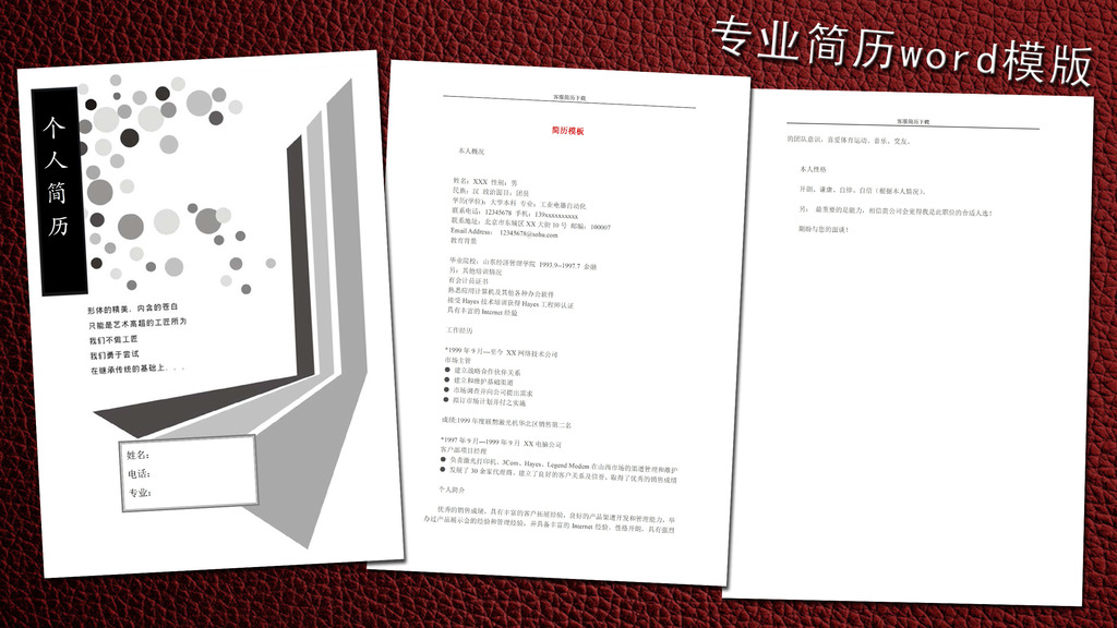客服个人简历模板word下载图片