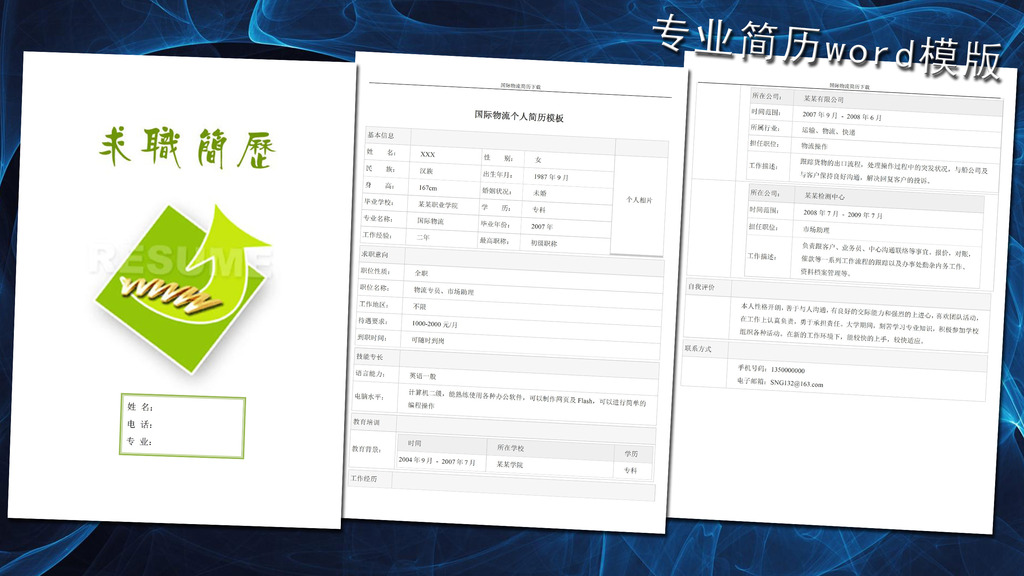 国际物流经理简历模板word下载图片