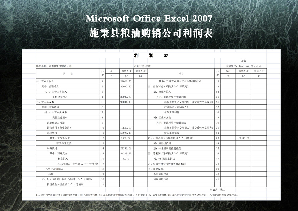 施秉县粮油购销公司利润表模板下载(图片编号