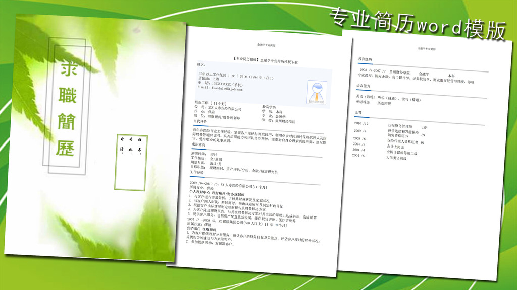 金融投资简历模板word下载图片