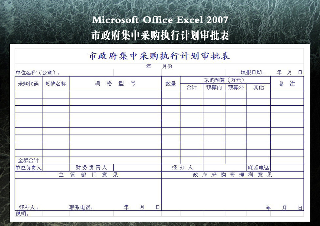 市政府集中采购执行计划审批表模板下载(图片