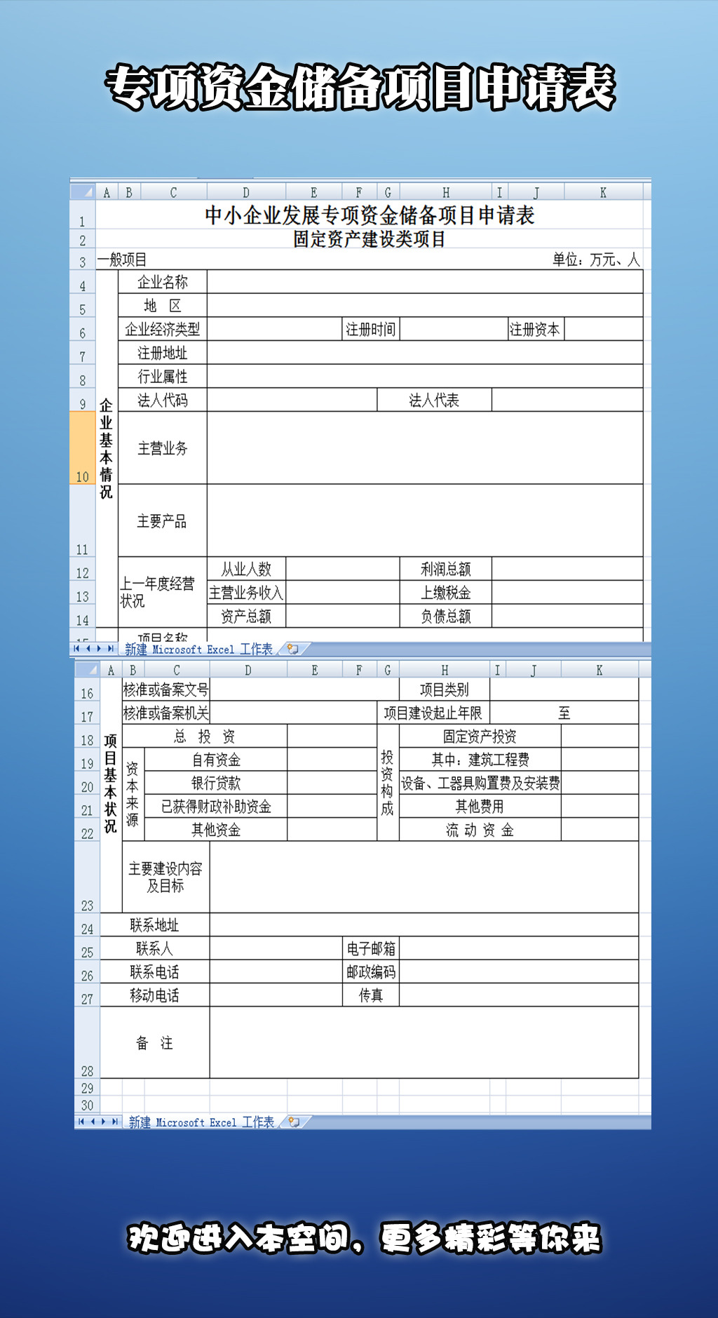 专项资金储备项目申请表模板下载(图片编号:12280769)_财务报表_Excel模板_我图网weili.ooopic.com