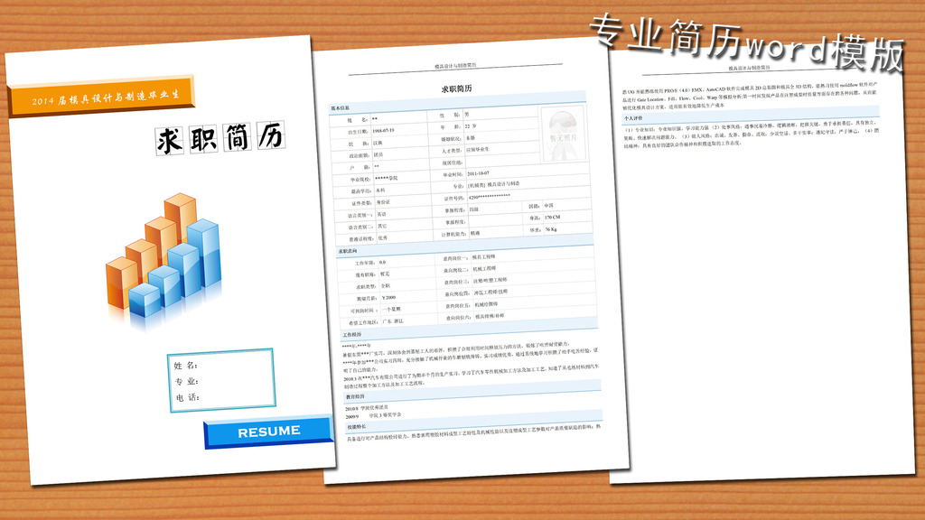 模具设计制造简历模板word下载模板下载(图片