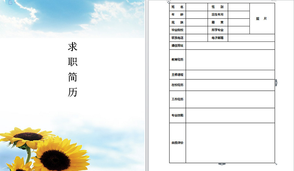 个人求职简历模板 工作简历模板图片