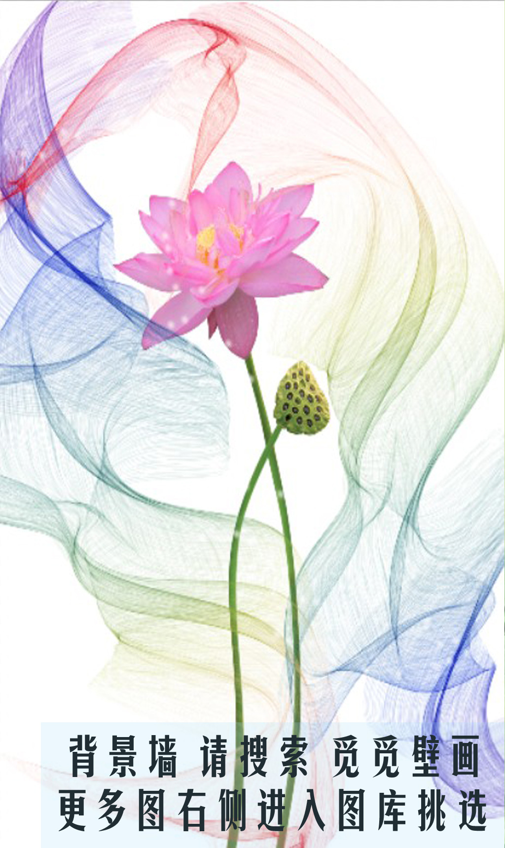 莲花莲蓬装饰图片