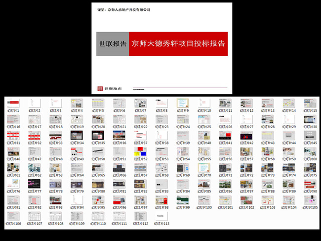 房地产项目投标报告模板下载(图片编号:12312