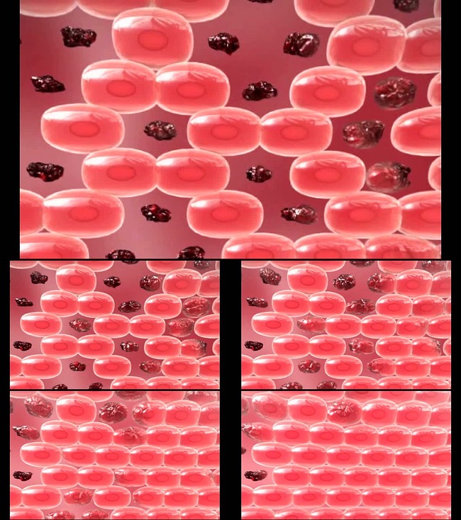 医药视频素材医药细胞修复模板下载(图片编号