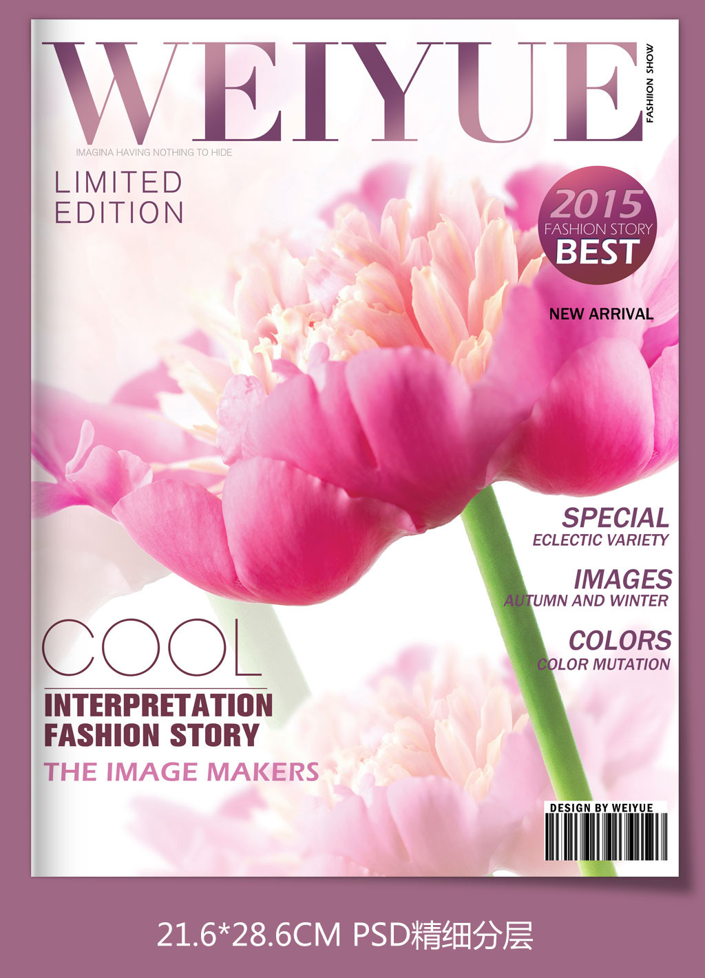 时尚花卉杂志风格封面模板模板下载(图片编号
