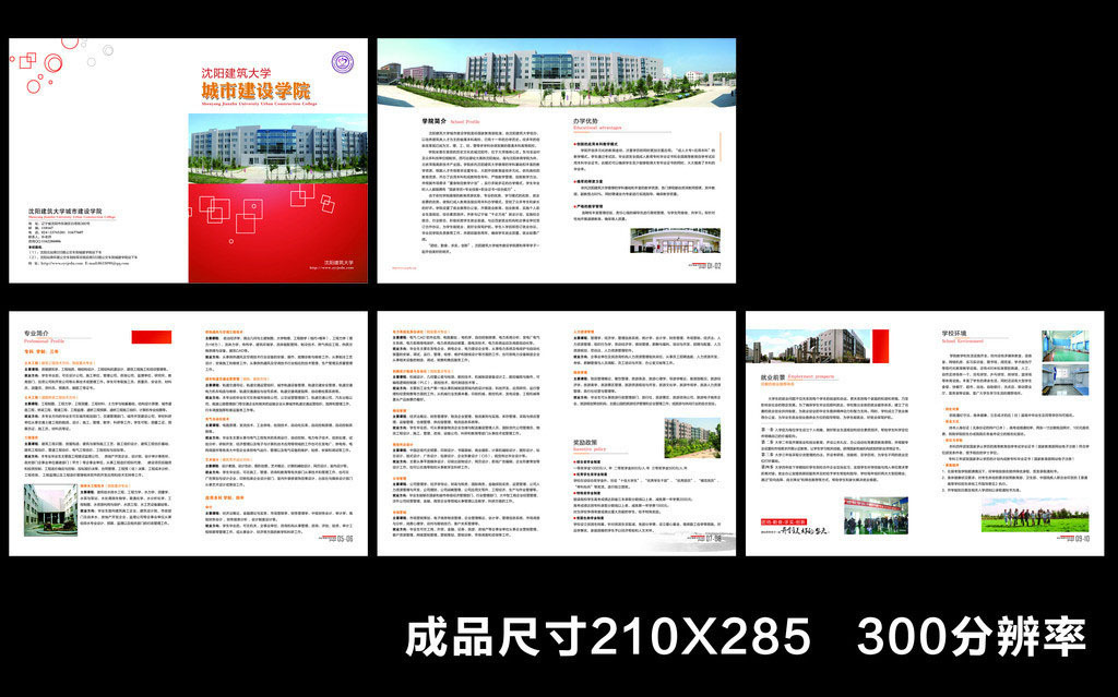 大学招生简章模板模板下载(图片编号:1238634