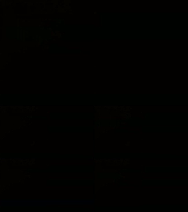 夜晚的汽车间隔拍摄视频模板下载(图片编号:1