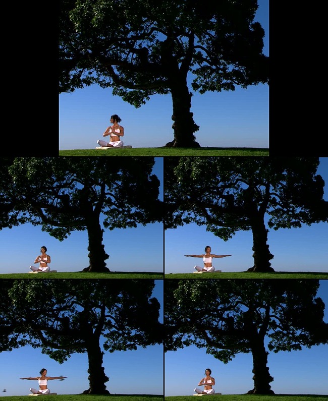 树下练瑜伽视频素材模板下载(图片编号:12398