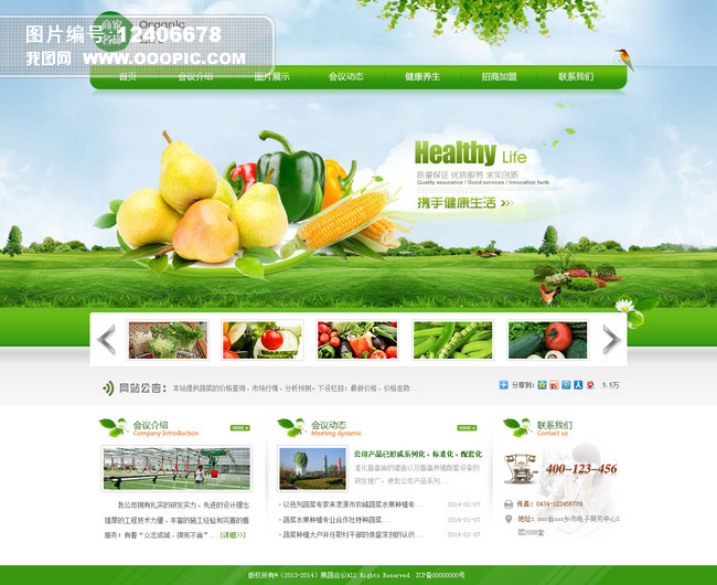 农业蔬菜水果类网站模板模板下载(图片编号:1