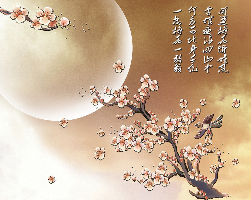 花好月圆梅花立体电视背景墙