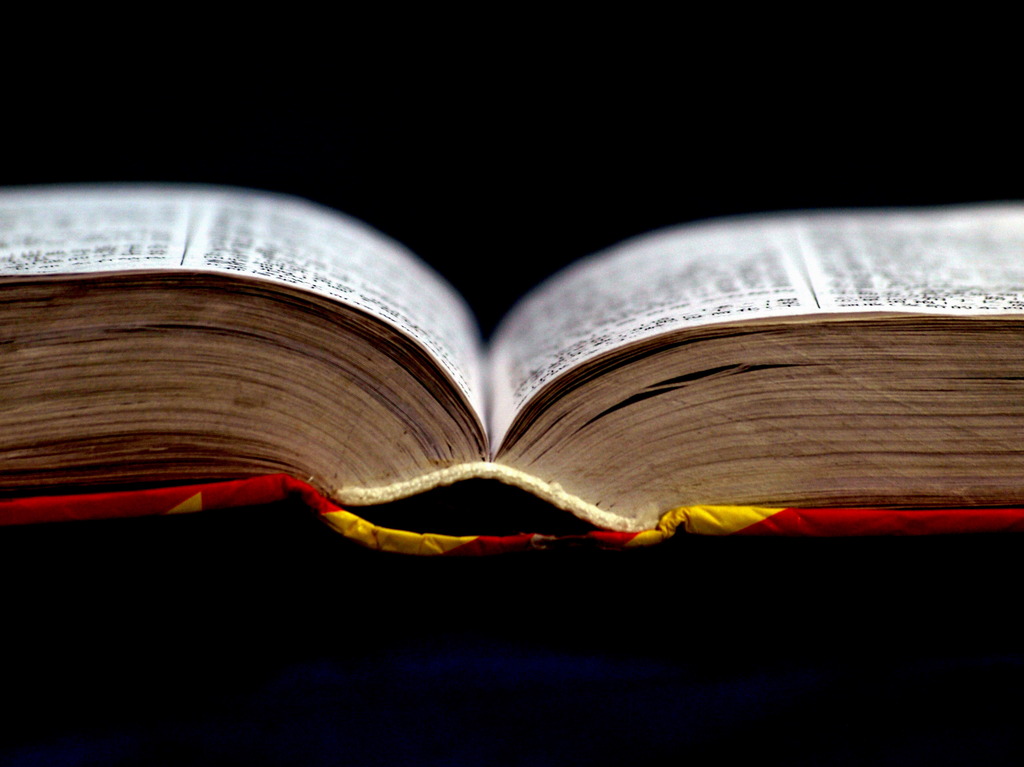 新华字典图片模板下载(图片编号:12472892)_其