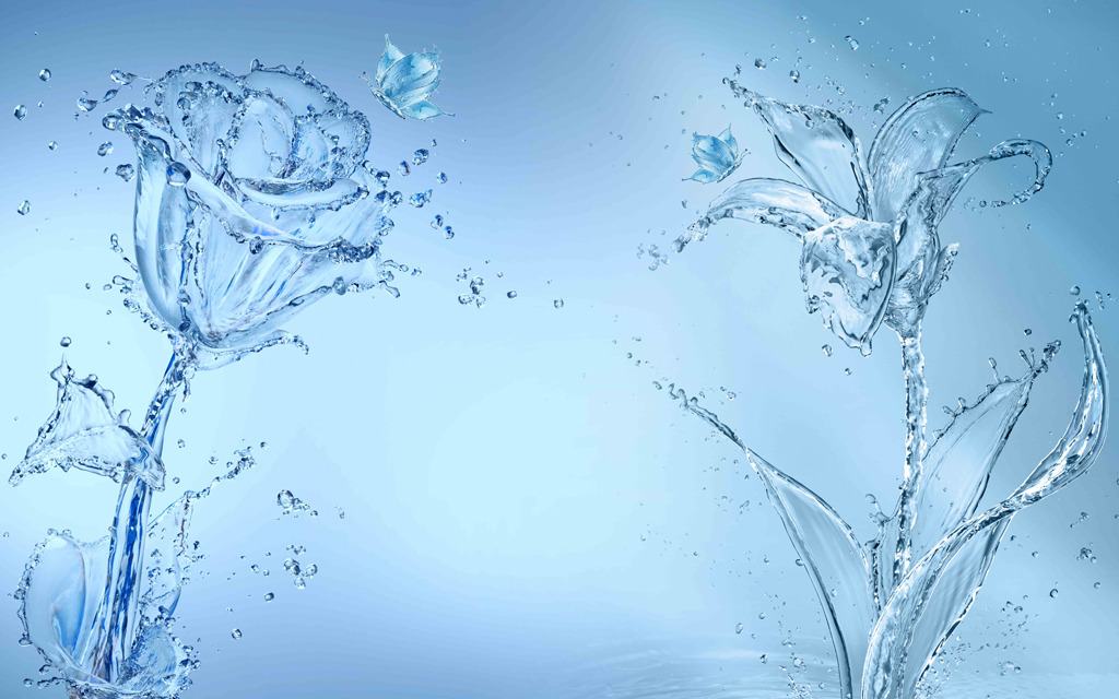 水玫瑰百合高清图片下载(图片编号12501177)现代简约电视背景墙图片_电视背景墙图片_我图网weili.ooopic.com