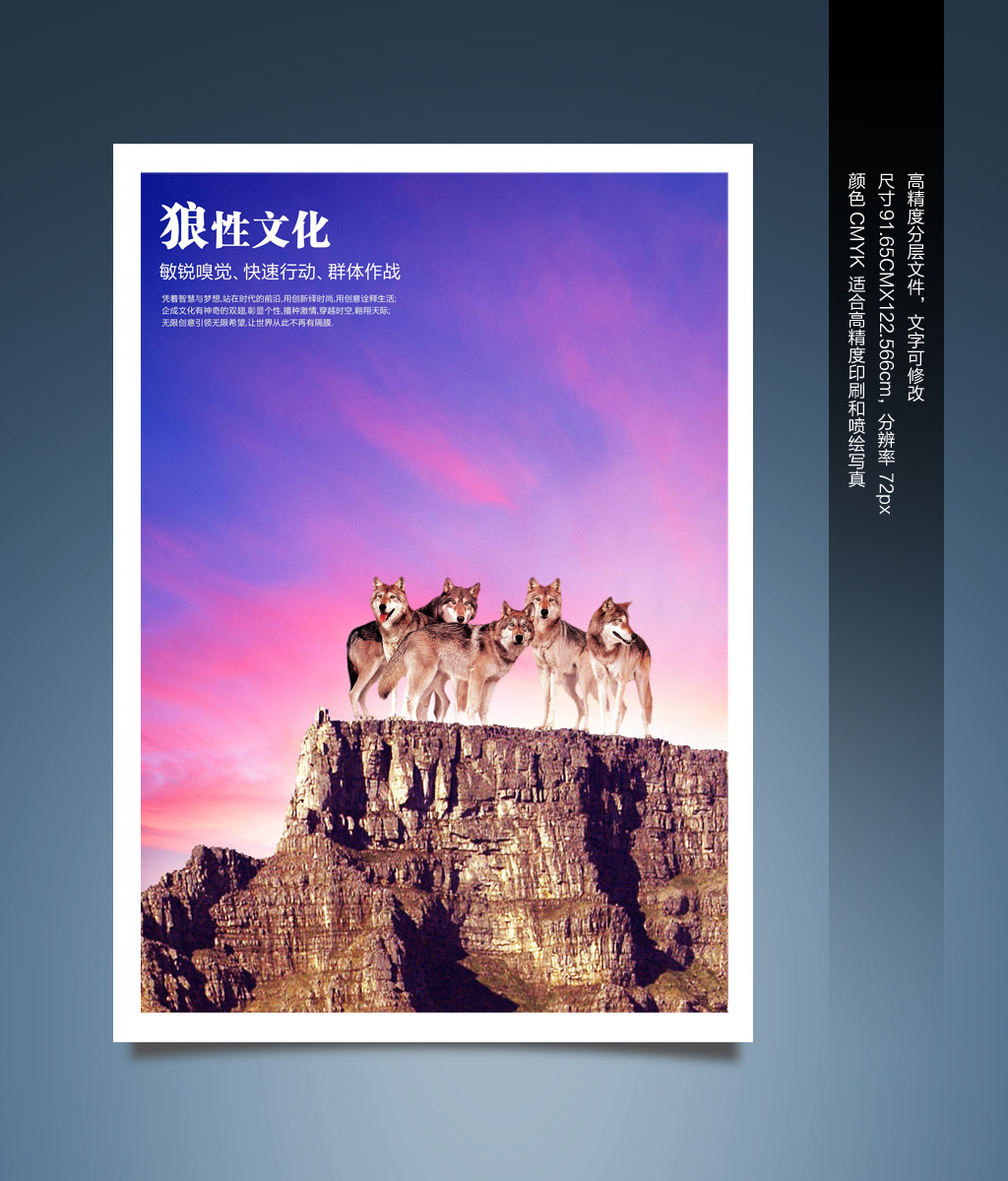 企业文化形象狼性文化展板
