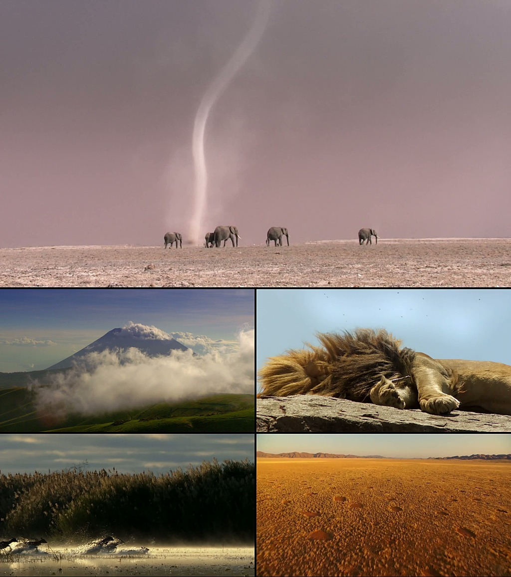 非洲草原动物狮子<em>大象</em>雪山<em>沙漠</em>豹视频素材模板