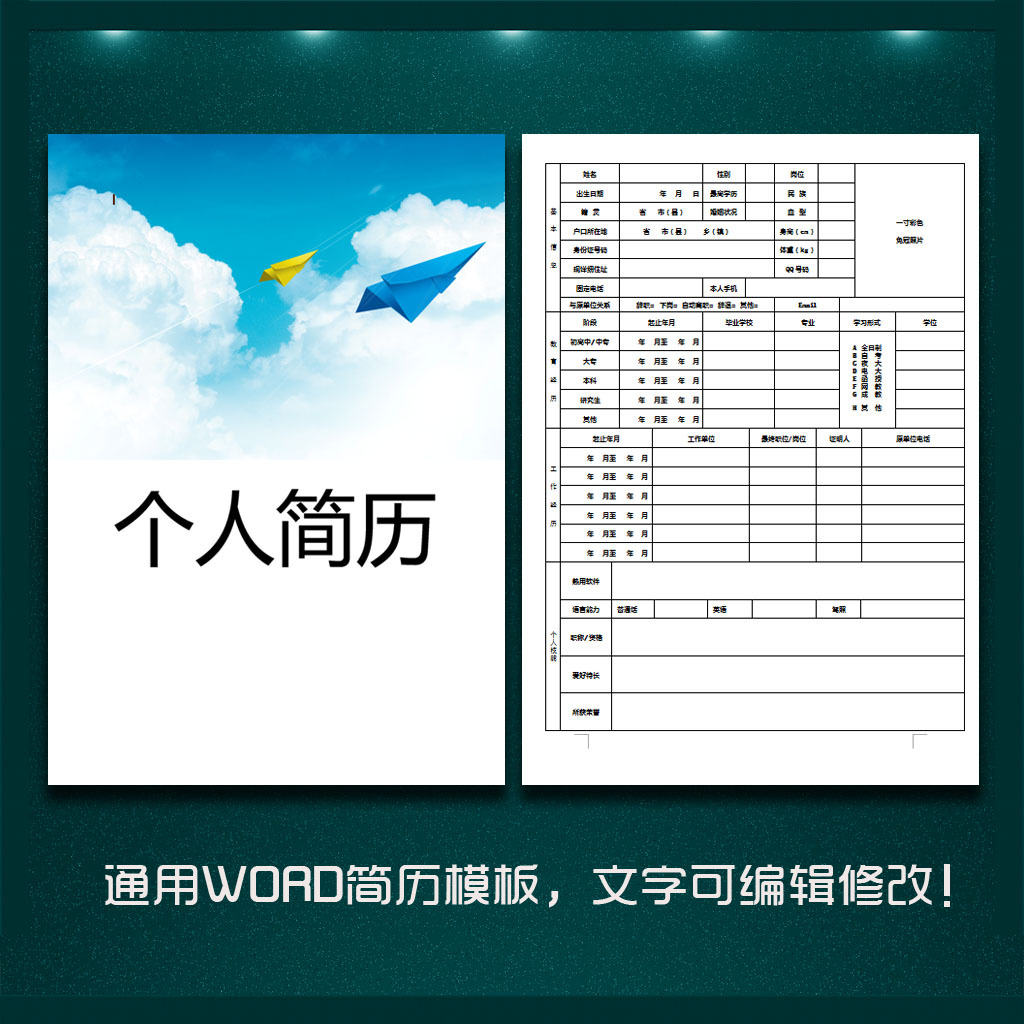 个人简历模板(纸飞机)模板下载(图片编号:12513277)图片