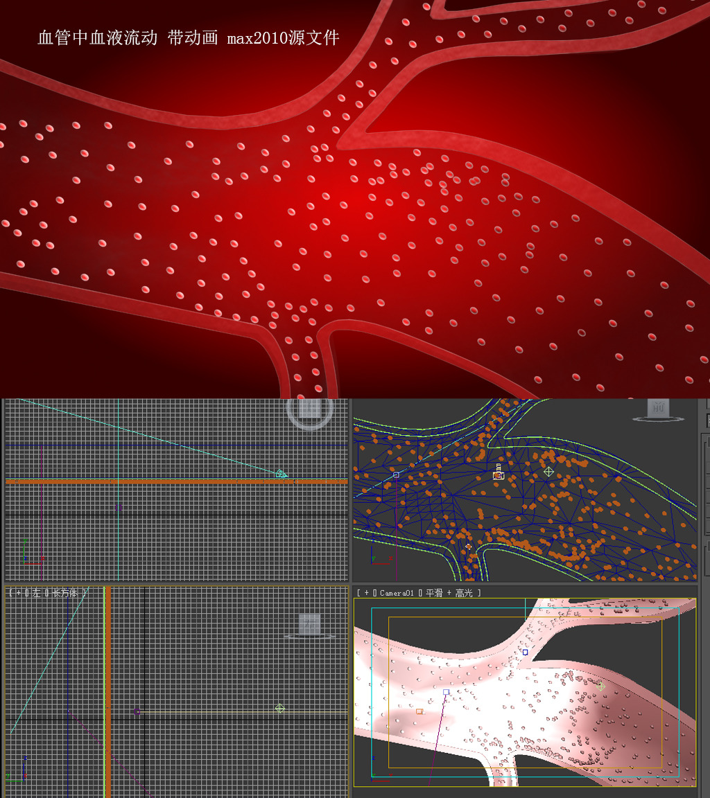 血液在血管中流动动画模板下载(图片编号:125
