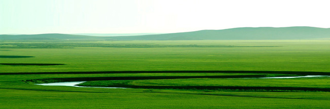 绿色大草原风景画
